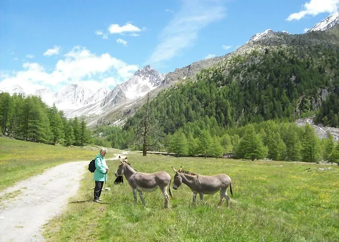 Lägenhet Haus Brigitte Nauders