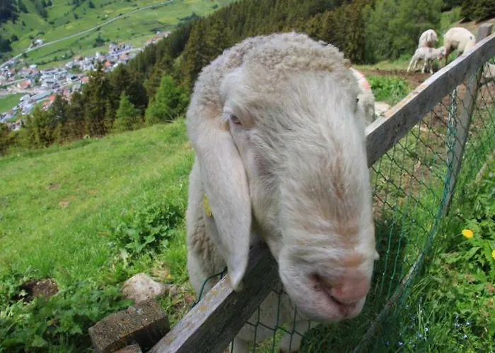 Haus Brigitte Lägenhet