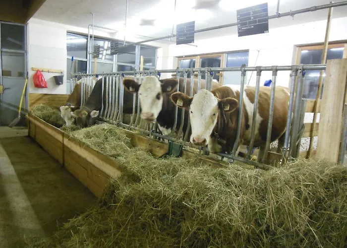 Διαμέρισμα Haus Brigitte